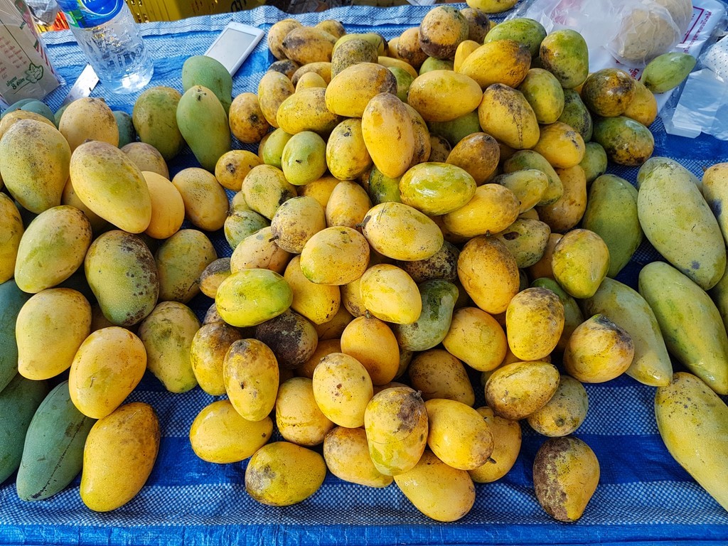 La Mangue thaï