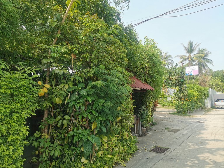 Nam Yoi, Phuket town
