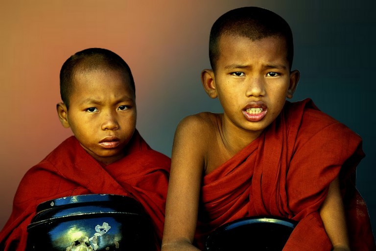 moinillons birmans