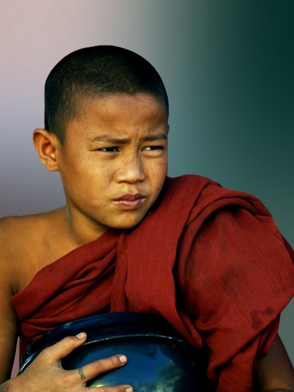moines birmans